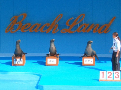 南知多ビーチランド　イルカ＆アシカショー　知多半島