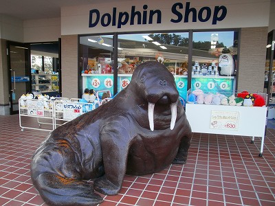 南知多ビーチランド　知多半島ドライブ　セイウチ